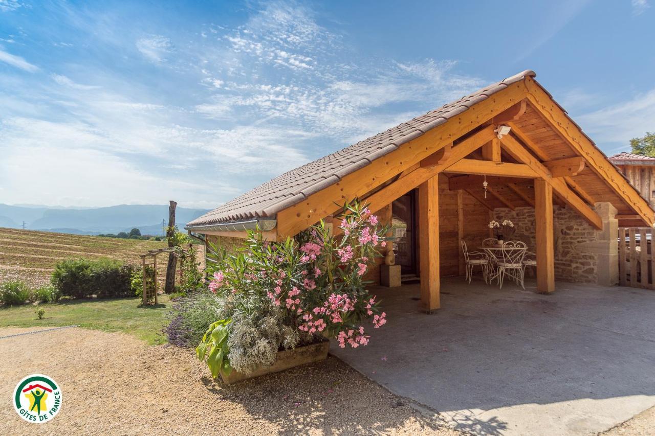 Chalet Le Clos De L'Orme Saint-Lattier Exteriör bild