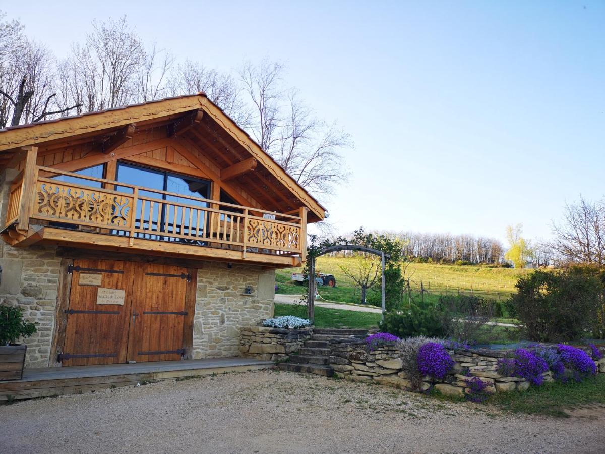 Chalet Le Clos De L'Orme Saint-Lattier Exteriör bild
